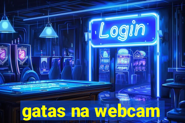gatas na webcam